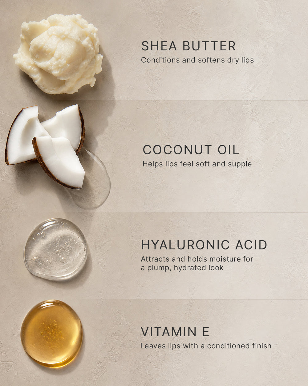 Shea butter: conditions and softens dry lips. Coconut oil: helps lips feel soft and supple. Hyaluronic acid: attracts and holds moisture for a plump, hydrated look. Vitamin E: leaves lips with a conditioned finish. Each ingredient is shown beside its name on a warm stone surface.
