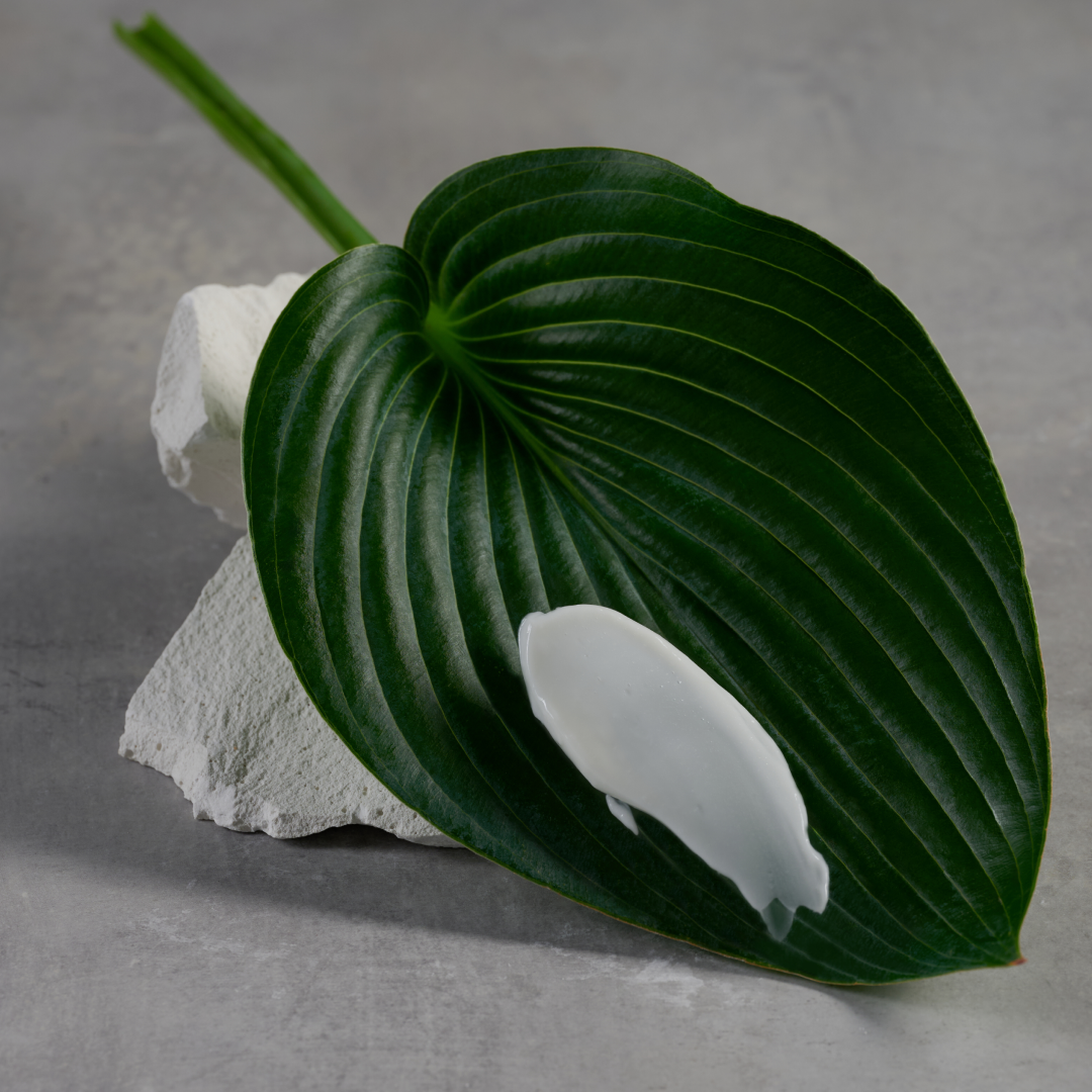 Tone & Tighten Body Cream - Clean Slate 7 oz